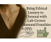 Bring Ethical Luxury to Chennai with a Lab-Grown Diamond Franchise
