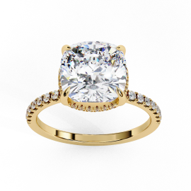 Luxe Curve