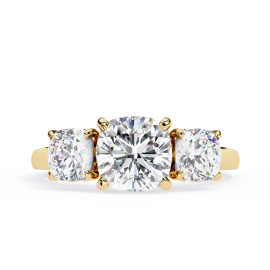 Engagement Echo