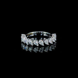 Delicate Band